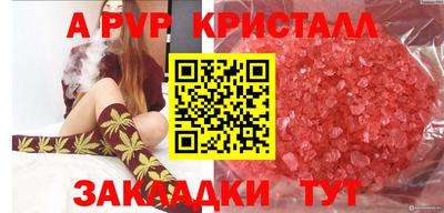 ECSTASY Рыбинск